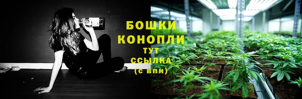дживик Зеленокумск