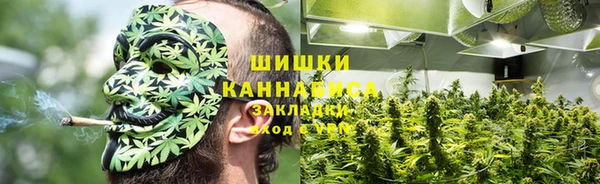 дживик Зеленокумск