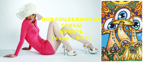 дживик Зеленокумск