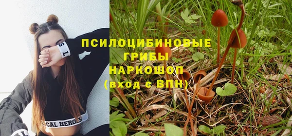 дживик Зеленокумск