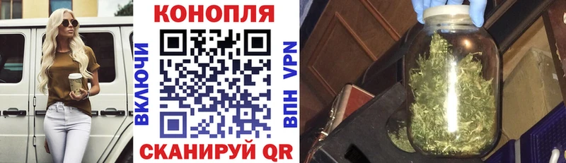 Канабис OG Kush  Купить  Любим 